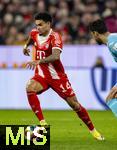 08.02.2026, Fussball Bundesliga 2025/2026, 21.Spieltag, FC Bayern München - TSG 1899 Hoffenheim, in der Allianz-Arena München, Luis Diaz (FC Bayern München) am Ball 