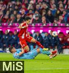 08.02.2026, Fussball Bundesliga 2025/2026, 21.Spieltag, FC Bayern München - TSG 1899 Hoffenheim, in der Allianz-Arena München,  Albian Hajdari (unten, TSG 1899 Hoffenheim) gegen Luis Diaz (FC Bayern München) 